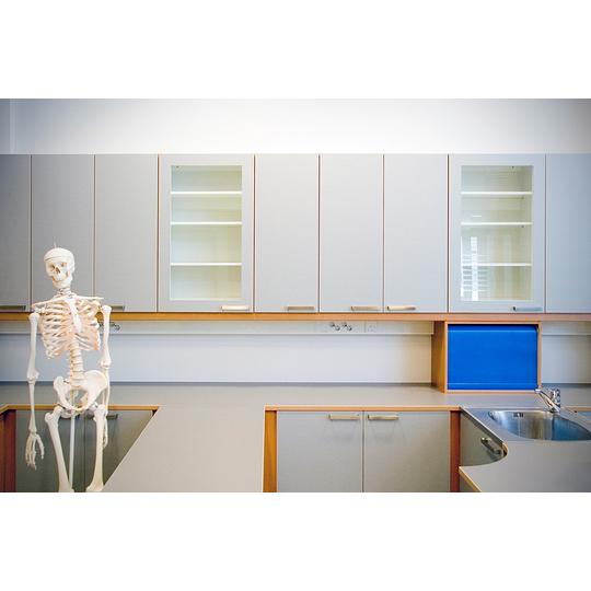 L&auml;nsikadun koulun oppimistila, jossa modernit harmaat kaapistot, sininen lokero ja tiskiallas. Kuvassa n&auml;kyy my&ouml;s anatominen luurankomalli.