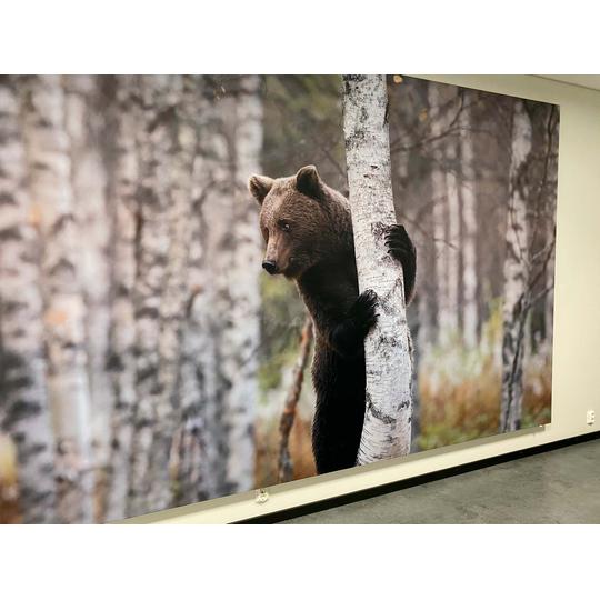 Lehmon koulu, Kontiolahti